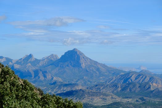 The Entrepreneurship Summit: A Crucible for Catalytic Evolution