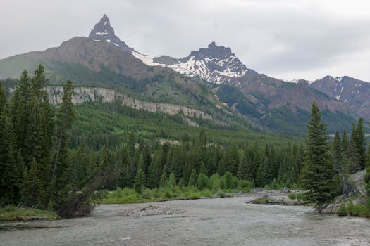 Unpacking the Nuances of Mountain West Insurance: Your Essential Guide to Regional Protection